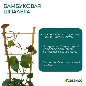 Шпалера, 60x20x1 см, бамбук, «Одинарная», Greengo