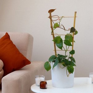 Шпалера, 60x20x1 см, бамбук, «Одинарная», Greengo