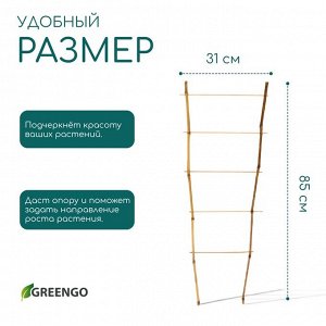 Шпалера, 85x31x1 см, бамбук, «Одинарная», Greengo