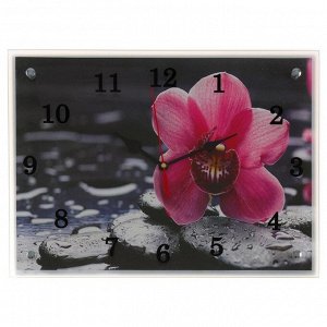 Часы настенные, серия: Цветы, "Орхидея на камнях", 30х40  см, в ассортименте