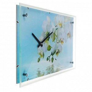 Часы настенные, серия: Цветы, &quot;Белые цветы у воды&quot;, 35х60  см, в ассортименте