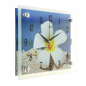 Часы настенные, серия: Цветы, &quot;Плюмерия на песке&quot;, 20х26  см, в ассортименте