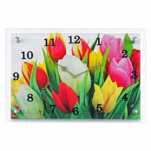 Часы настенные, серия: Цветы, "Разноцветные тюльпаны", 25х35  см, микс