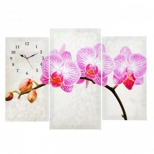 Часы настенные, модульные, серия: Цветы, "Розовые цветки орхидеи", 60х80 см, в ассортименте