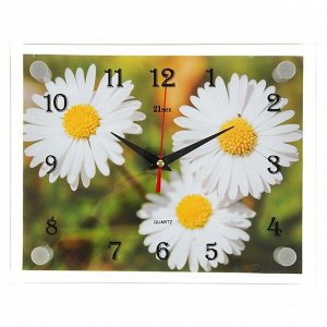 Часы настенные, серия: Цветы, "Ромашки", 20х26 см  в ассортименте