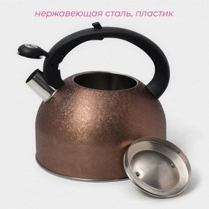Чайник Доляна Snow, 3 л, со свистком, индукция, нержавеющая сталь, золотистый