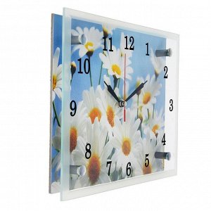 Часы настенные, серия: Цветы, "Ромашки", 20х25 см