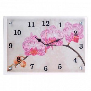 Часы настенные, серия: Цветы, "Веточка орхидеи", 25х35  см, микс