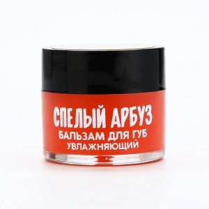 Бальзам для губ увлажняющий, 10 г, аромат спелого арбуза, BEAUTY FOOD