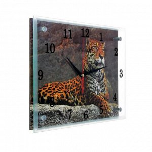 Часы настенные, серия: Животный мир, "Леопард"25х35 см, микс