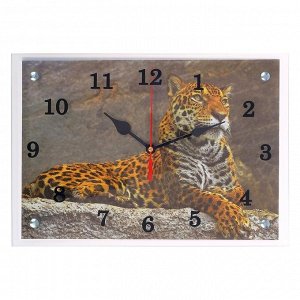 Часы настенные, серия: Животный мир, "Леопард"25х35 см, микс