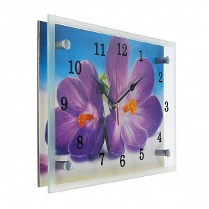 Часы настенные, серия: Цветы, "Сиреневые цветы", 20х30 см
