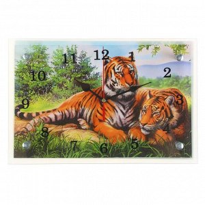 Часы настенные, серия: Животный мир, "Тигры", 20х30  см, в ассортименте