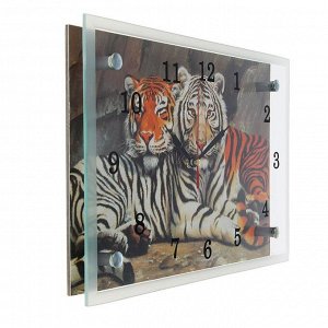 Часы настенные, серия: Животный мир, "Тигры", 20х30  см, микс