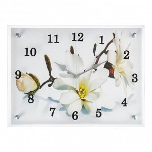 Часы настенные, серия: Цветы, "Орхидея", 30х40  см, в ассортименте
