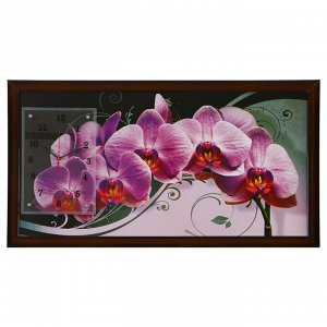Часы-картина настенные, серия: Цветы, "Нежная орхидея", 50х100  см, в ассортименте