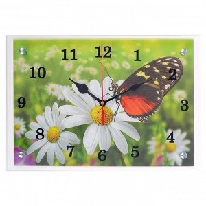 Часы настенные, серия: Цветы, "Бабочка и ромашки", 25х35  см, микс