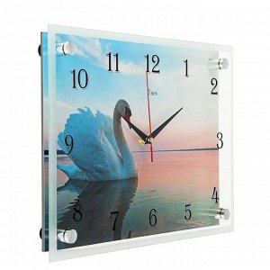 Часы настенные, серия: Животный мир, "Лебедь на пруду", 25х35  см, микс