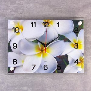 Часы настенные, серия: Цветы, "Белые цветы", 25х35  см, в ассортименте