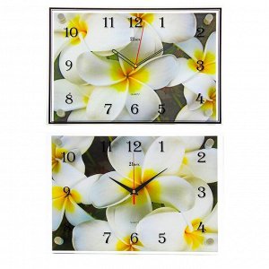 Часы настенные, серия: Цветы, "Белые цветы", 25х35  см, микс