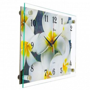 Часы настенные, серия: Цветы, "Белые цветы", 25х35  см, микс