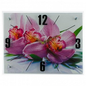 Часы настенные, серия: Цветы, &quot;Орхидея&quot;, 40х50  см, в ассортименте
