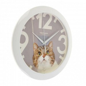 Часы настенные, серия: Животный мир, "Кот", d=29 см, белый обод