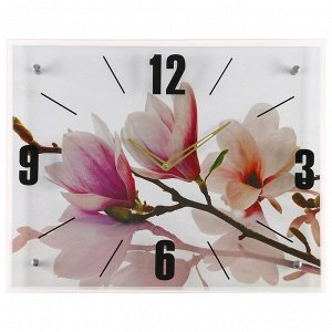 Часы настенные, серия: Цветы, "Бело-сиреневые цветы", 40х50  см, в ассортименте