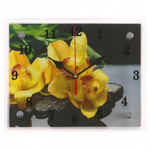 Часы настенные, серия: Цветы, "Желтые орхидеи на камнях", 20х25  см, микс