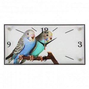 Часы настенные, серия: Животный мир, "Парочка попугаев", 19х39 см