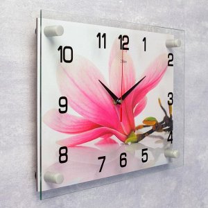 Часы настенные, серия: Цветы, "Магнолия", 25х35  см, в ассортименте
