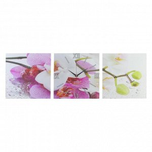 Часы настенные, модульные, серия: Цветы, "Орхидеи", 35х110  см, в ассортименте