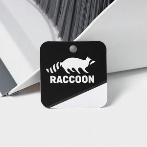 Щётка для пола Raccoon: совок 28x27x89 см, щётка 23x94 см, белая