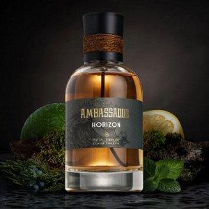 Набор мужской подарочный Horizon Ambassador 100 мл и гель для душа
