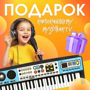 Синтезатор детский с микрофоном «Музыкальный взрыв», 49 клавиш с радио, работает от батареек