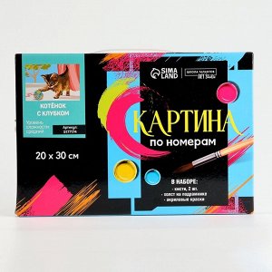 Картина по номерам на холсте с подрамником «Котёнок с клубком», 30х20 см