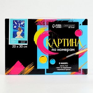 Картина по номерам на холсте с подрамником «Ночное небо» 20х30 см