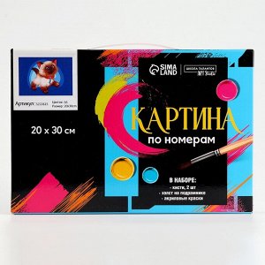 Картина по номерам на холсте с подрамником «Сиамский котёнок» 20х30 см