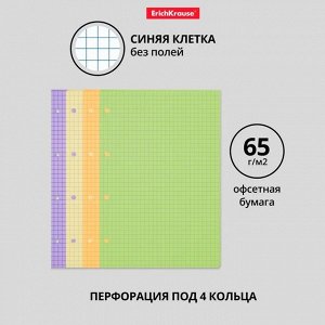 Сменный блок для тетради А5, на кольцах, 120 листов в клетку, ErichKrause, тонированный: 4 цвета по 30 листов