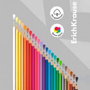 Карандаши цветные 24 цвета ErichKrause, шестигранные, пластиковые, с европодвесом