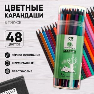Карандаши цветные 48 цветов в тубусе, корпус шестигранный (пластиковые) чёрное основание