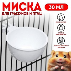 Миска для грызунов и птиц, 30 мл, белая
