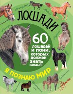 . Лошади