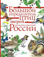 Волцит П.М., Полевод В.А., Пескова И.М. и др. Большой определитель птиц, зверей, насекомых и растений России