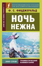 Фицджеральд Ф.С. Ночь нежна