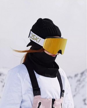 Горнолыжная маска LDski PEREGRINUS ZEISS (фиолетовый)