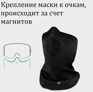 Горнолыжная маска LDski PEREGRINUS ZEISS (фиолетовый)