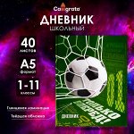 Дневник универсальный для 1-11 классов, «Футбол», твердая обложка 7БЦ, глянцевая ламинация, 40 листов