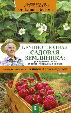 Кизима Г.А. Крупноплодная садовая земляника: проверенные сорта, способы повышения урожая