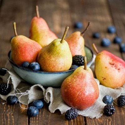 Сибирский сад! предзаказ весна 2026